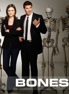 voir Bones Saison 2 en streaming 