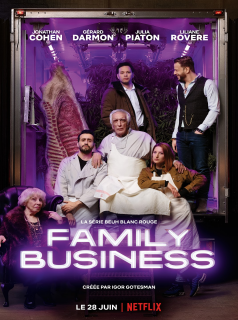 voir serie Family Business en streaming
