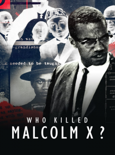 voir serie Who killed Malcolm X? en streaming