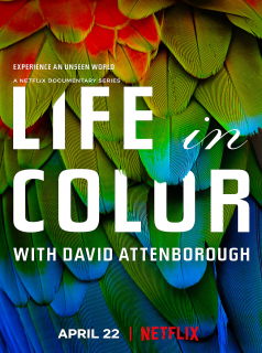 voir serie La Vie en couleurs avec David Attenborough en streaming