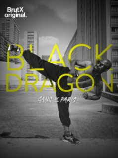 voir serie Gang de Paris : Black Dragon en streaming