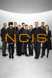 voir serie NCIS : Enquêtes spéciales en streaming