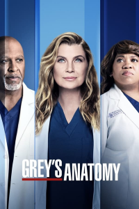 voir Grey's Anatomy Saison 19 en streaming 