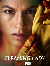 voir serie The Cleaning Lady en streaming