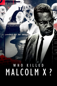 voir serie Qui a tué Malcolm X ? en streaming