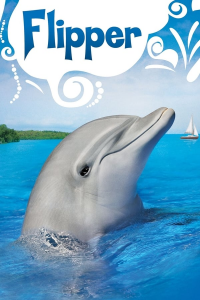 voir Flipper le dauphin Saison 1 en streaming 