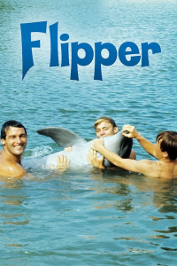 voir Flipper le dauphin saison 2 épisode 3