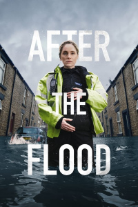 voir serie After the Flood en streaming